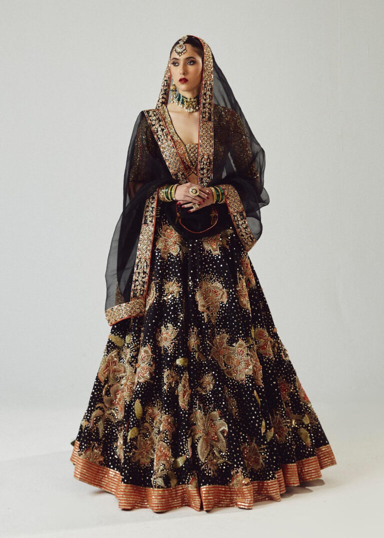 Embellished Black Lehenga with Choli and Dupatta Dress