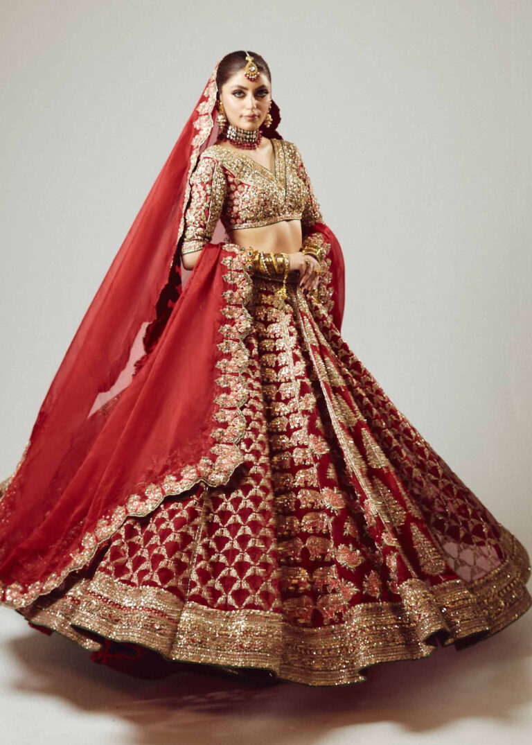 IndianWeddingDressinRedLehengaandCholiStyle_1080x