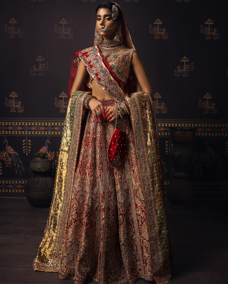 Indian Red Bridal Lehenga with Choli and Dupatta Dress
