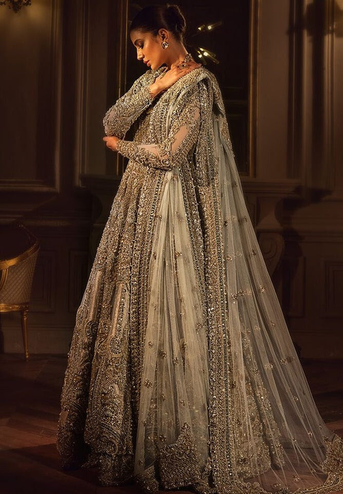 Long Tail Gown Style Dress for Indian Bridal Wear