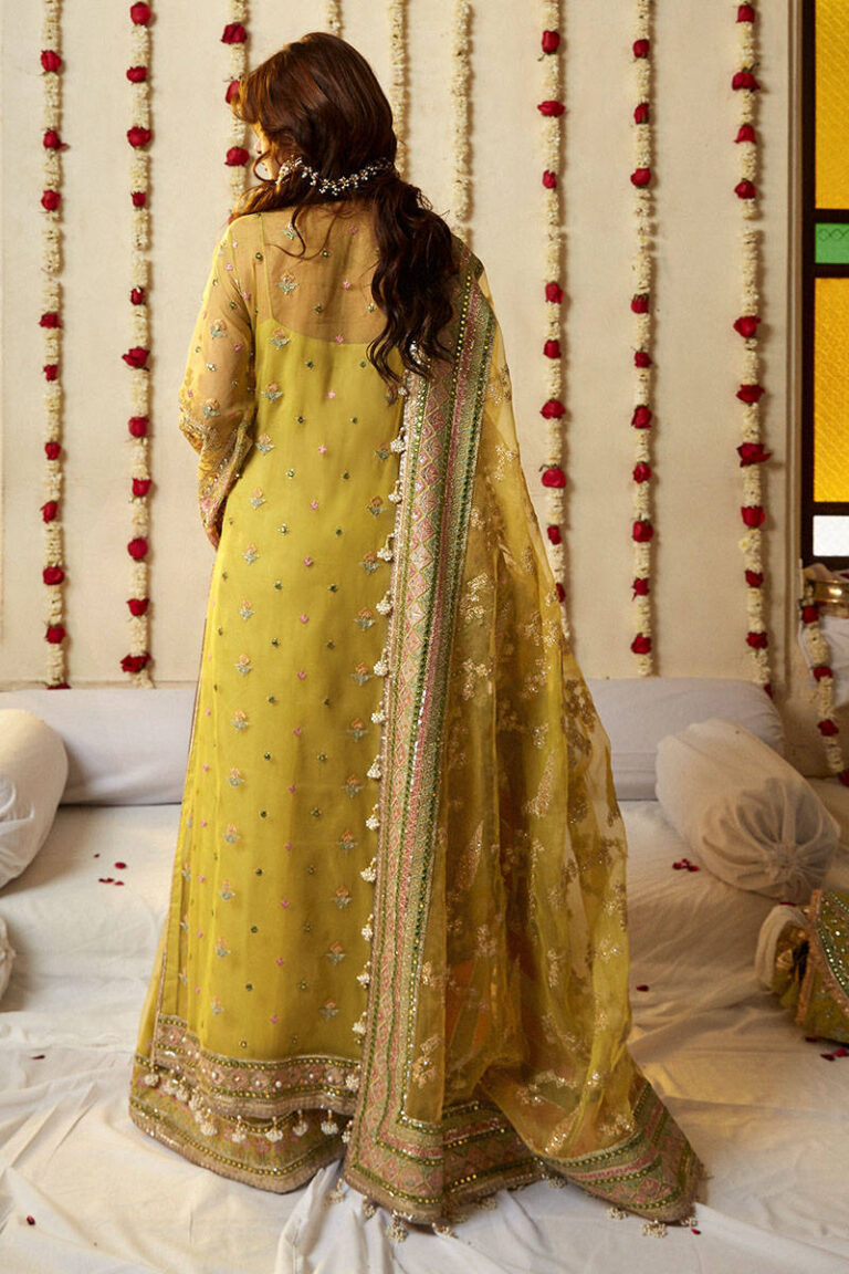 RoyalMehndiDressinEmbellishedKameezTrouserStyle_1080x